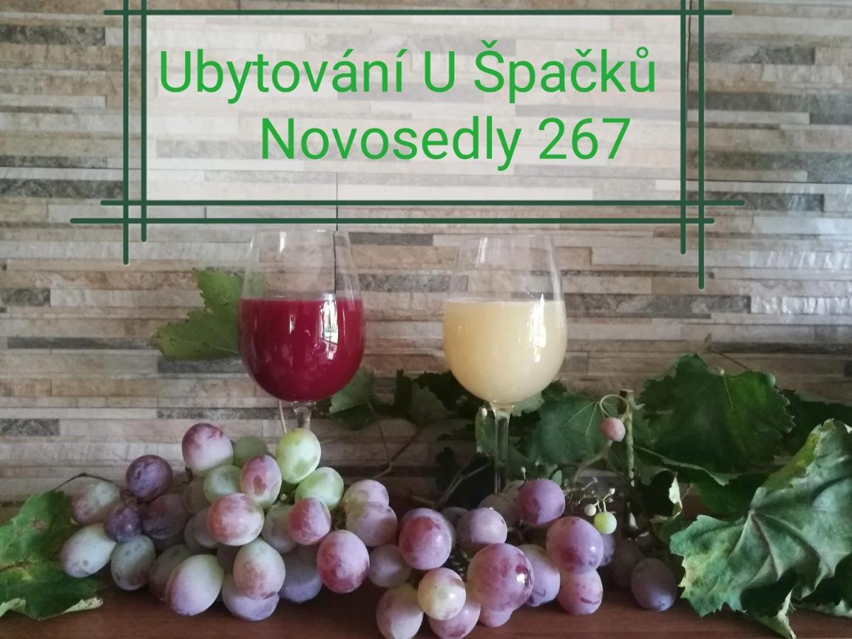 Ubytovani U Spacku Palava Novosedly  Exterior photo