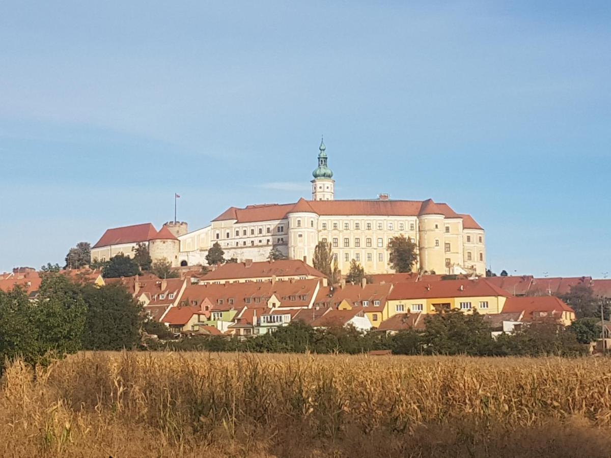 Ubytovani U Spacku Palava Novosedly  Exterior photo