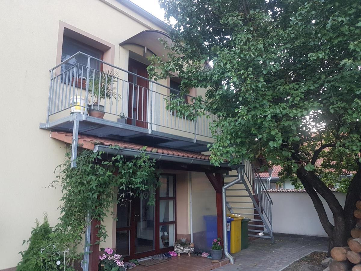 Ubytovani U Spacku Palava Novosedly  Exterior photo